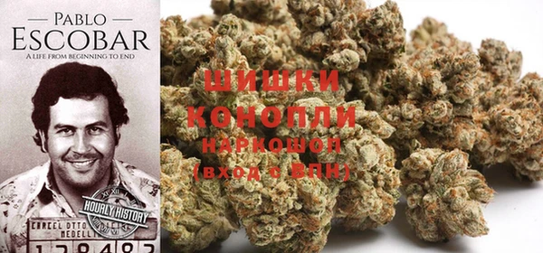 PSILOCYBIN Беломорск